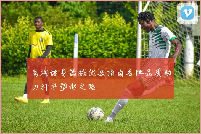 高端健身器械优选指南名牌品质助力科学塑形之路