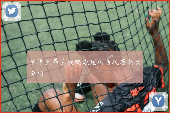 法甲里昂主场观众结构与观赛行为分析