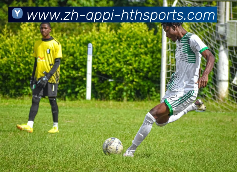 华体会hth服务体系